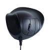 Bnep210l