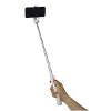 Celly bh propod wit