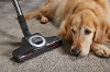 Miele blizzard cx1 cat dog flex powerline stofzuiger zonder zak