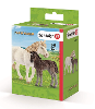 Pony merrie en veulen