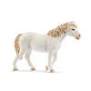 Pony merrie en veulen