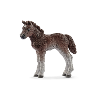 Pony merrie en veulen