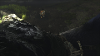 Ps4 the last guardian