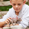 Schleich triceratops 15000