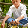 Schleich triceratops 15000