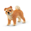 Shiba inu moeder en welp
