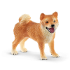 Shiba inu moeder en welp
