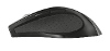 Trax wireless mouse
