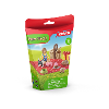 Verjaardags picknick