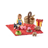 Verjaardags picknick