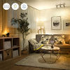 Wiz colors quest projector zwart 806lm