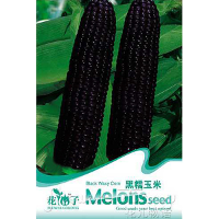 10 Seed Black Fruit Waxy Corn Seeds