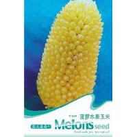 10 Seed Pineapple Fruit Corn Seeds