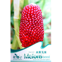 10 Seed Red Fruit Corn Seeds