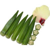 10 Seeds Abelmoschus Esculentus Seed Garden Plants Vegetable Seeds