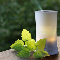 100Ml Led Color Changing Ultrasonic Aroma Diffuser Humidifier