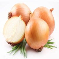 100Pcs Giant Yellow Onion Seeds Allium Cepa Vegetable