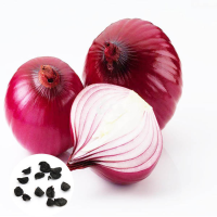 100Pcs Red Onion Seeds Allium Cepa Tasty Vegetable