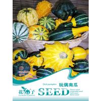 10Pcs Doll Pumpkin Seeds Vegetable Seeds