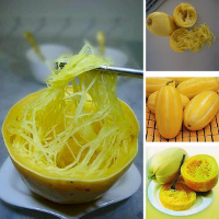 10Pcs Gold Loofah Seeds Exotic Vegetables Seed