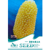 10Pcs Pineapple Fruit Corn Seeds Garden Vegetable Plant
