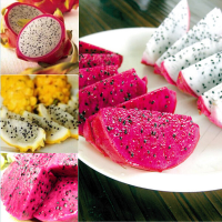 10Pcs Pitaya Seeds Hylocereus Undatus Dragon Fruit Seeds