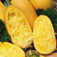 10Pcs Vegetable Spaghetti Squash Cucurbita Pepo Seeds Garden Seeds