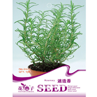 15Pcs Rosemary Seeds Rosmarinus Officinalis Spice Herb