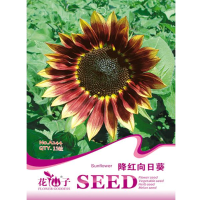 15Pcs Sunflower Velvet Queen Flower Seed