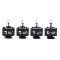 1PC / 4PCS RCD 3115 900KV 3 6S Borstelloze Motor voor 10 Inch RC FPV Racendron