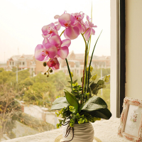 1Pcs Artificial Silk Butterfly Orchid Flowers Wedding Home Decoration