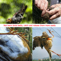 2.4*15M Nylon Meshy Garden Fruit Vegetable Plant Anti Bird Net