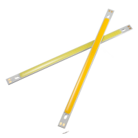 2 Stks LUSTREON Pure White High Power 10 W COB LED Chip Licht DC12 14V voor DIY 200x10 MM Lamp
