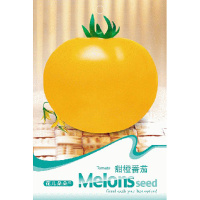20 Seed Orange Tomato Vegetables Seeds