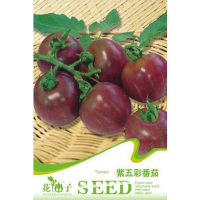 20Pcs Mini Purple Colorful Tomato Potting Seeds