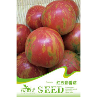 20Pcs Mini Red Colorful Tomatoes Seeds