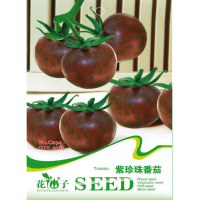 20Pcs Purple Pearl Tomato Seed High Sugar Balcony Courtyard Seed