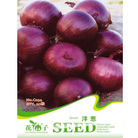 20Pcs Red Onion Seeds Allium Cepa Tasty Vegetable