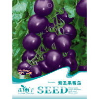 20Pcs Seeds Purple Cherry Tomato Organic Fruit Vegetable Plant