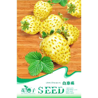 20Pcs White Strawberry Ornamental Plant Seeds