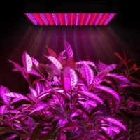 20W 1500lm Red/blue Energy Saving 324led Grow Light Ac 85 264v
