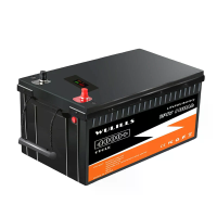 24V 100Ah LiFePO4 accupakket powerbank 25.6V Ingebouwde BMS LiFePO4 accu voor zonnestroomsysteem RV House Trolling