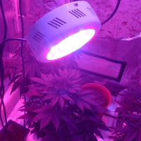 25*3W Blue/red Ufo Energy Saving Led Grow Light Ac 85 265v