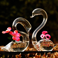 2Pcs Loving Swans Flower Watering Plants Glass Vase Home Decor