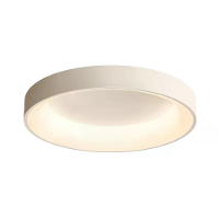 30Cm 24W Volledig Spectrum Slimme LED Plafondlamp 3 Kleurtinten Modern Eenvoudig voor 5~10㎡ Slaapkamer Woonkamer Balkon