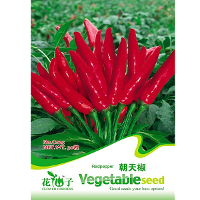 30Pcs Garden Spices Red Chili Spice Pepper Vegetable Seeds