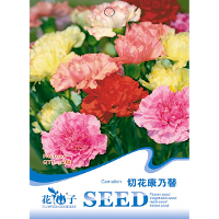 30Pcs Hybrid Sweet Scented Carnation Seeds