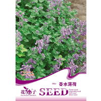 30Pcs Mentha Spicata Spearmint Seeds Perennial Flower