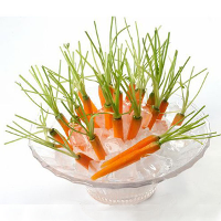 30Pcs Mini Type Finger Carrot Seeds Thumb Radish