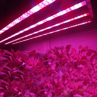 370Mm 8.64W Waterproof High Power 8led Tube Strip Grow Light Lamp